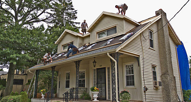Roof Gutter Cleaning in Gold Bar, WA